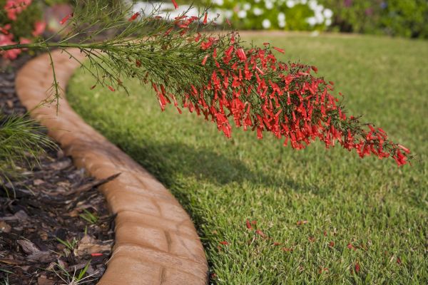 Brick Edging in Riverton