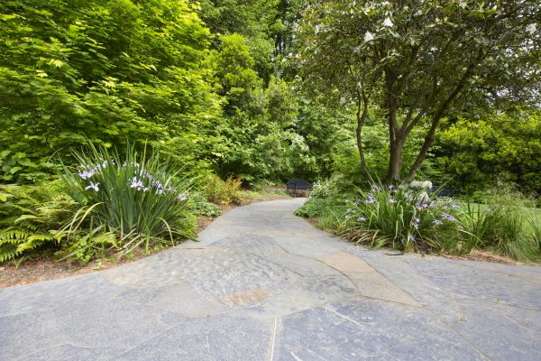 Stone Hardscape Service in Riverton